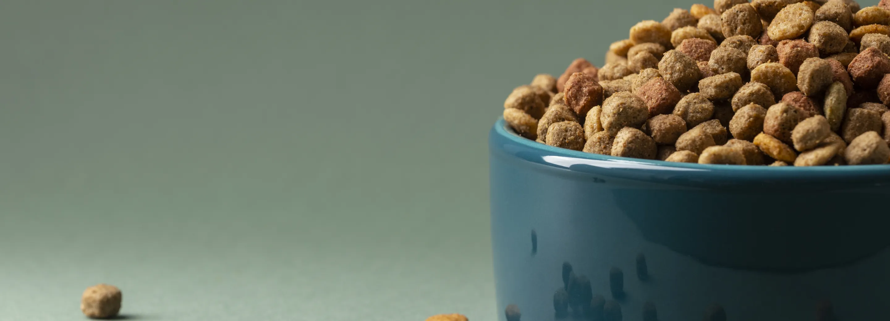 Feed & Petfood